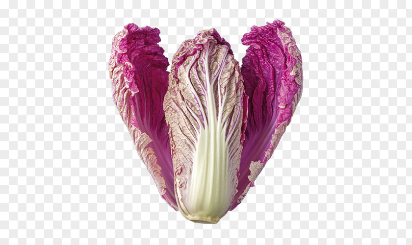 Romanesco Broccoli Vegetable GrönsaksMästarna Sverige AB Red Cabbage PNG