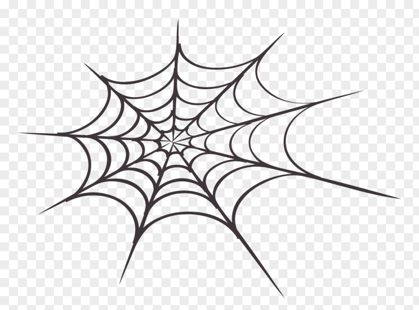 Spider Web Clip Art PNG