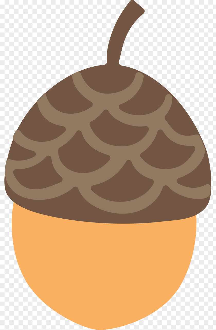 Acorn Cartoon Clip Art Transparency Image PNG