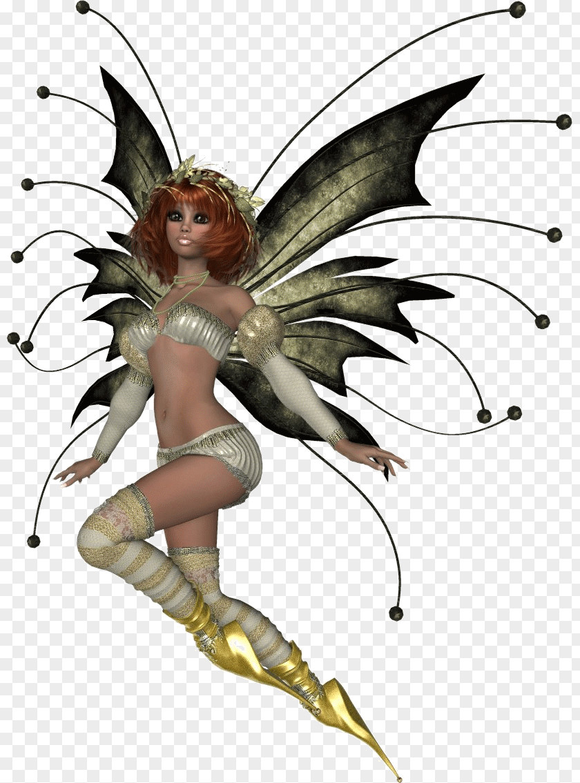 Fairy Tooth Elf PNG