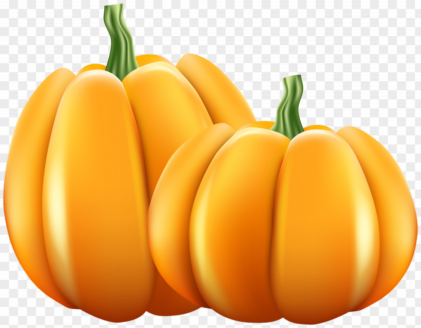 Gerber Pennant Pumpkin Gourd Clip Art Image PNG