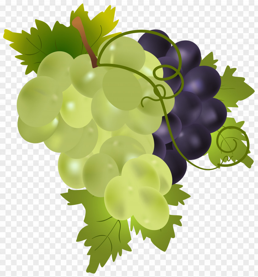 Grapes Clip Art Image Grape Fruit PNG