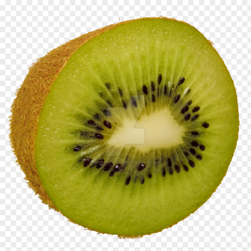 Kiwi Splash Clip Art Kiwifruit Image PNG