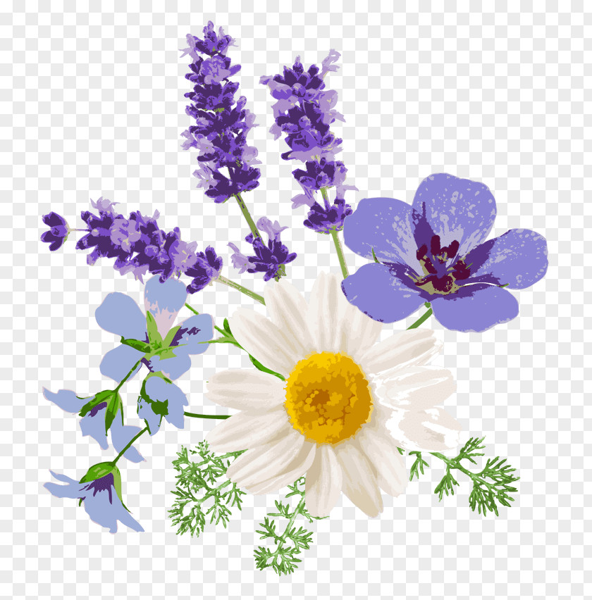 Lavender English Floral Design Chamomile French Flower PNG