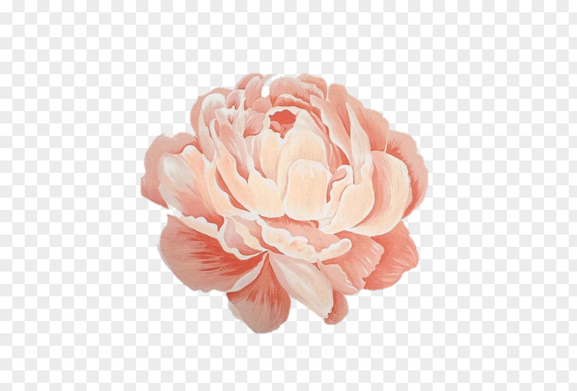 Peony Floral Design Painting Work Of Art PNG