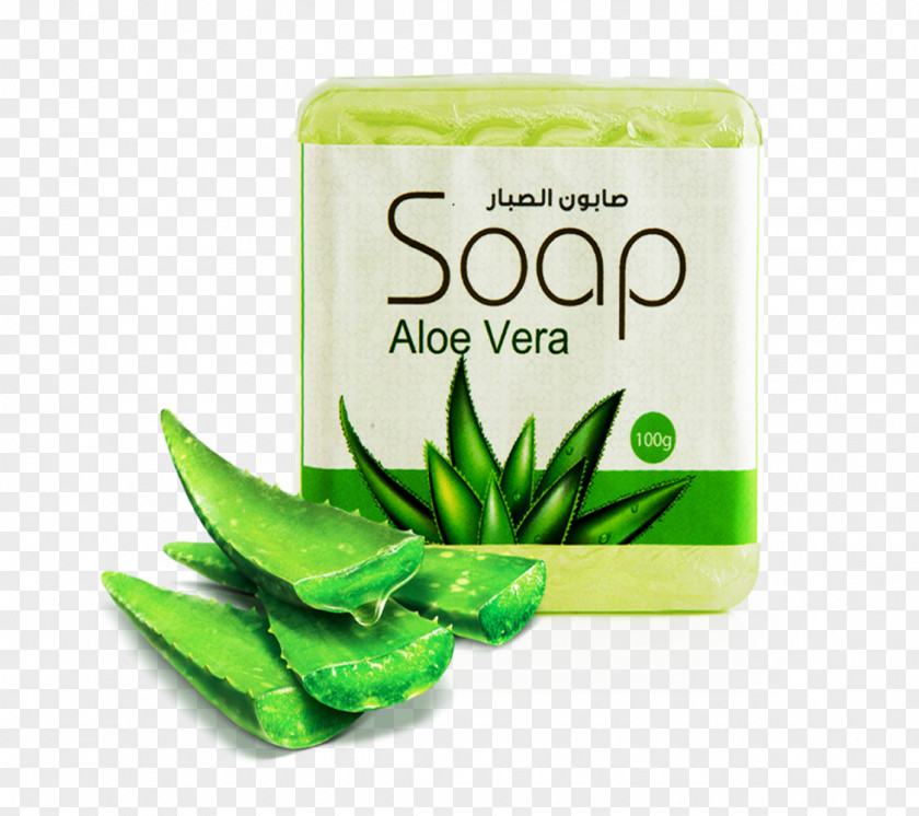 Soap Aloe Cactus Nature Skin Care PNG
