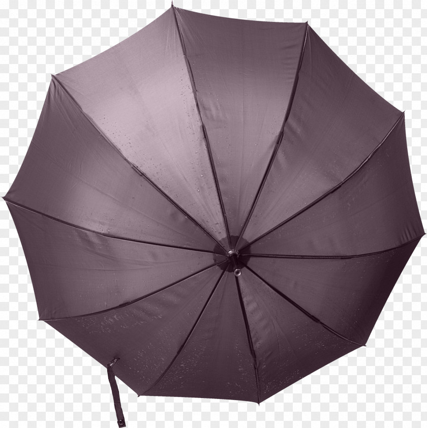 Umbrella Violet Lilac Clip Art PNG