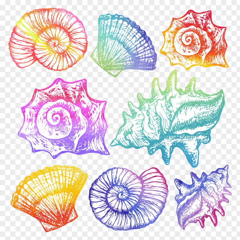 Vector Conch Watercolor Painting Cartoon Seashell Illustration PNG
