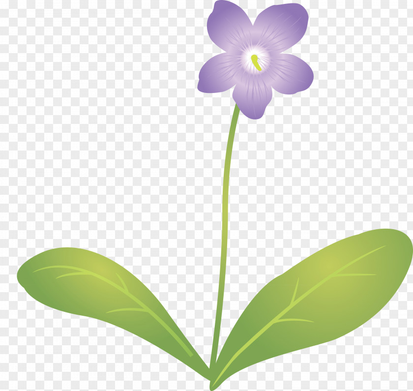 Violet Flower PNG