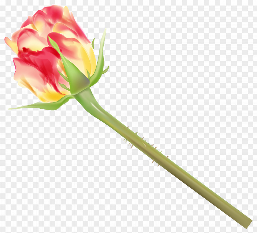 Yellow And Red Rose Bud Clipart Image Garden Roses Clip Art PNG