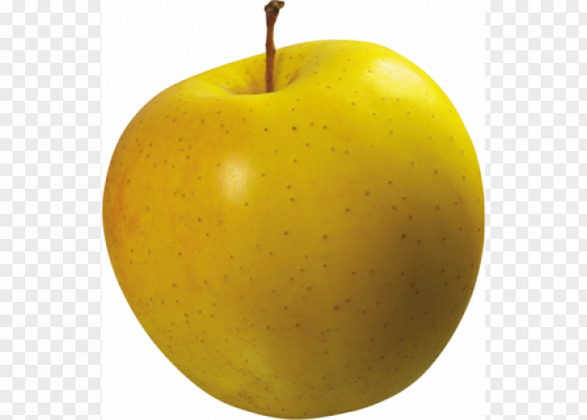 Yeloow Apple Golden Delicious Market Sales PNG