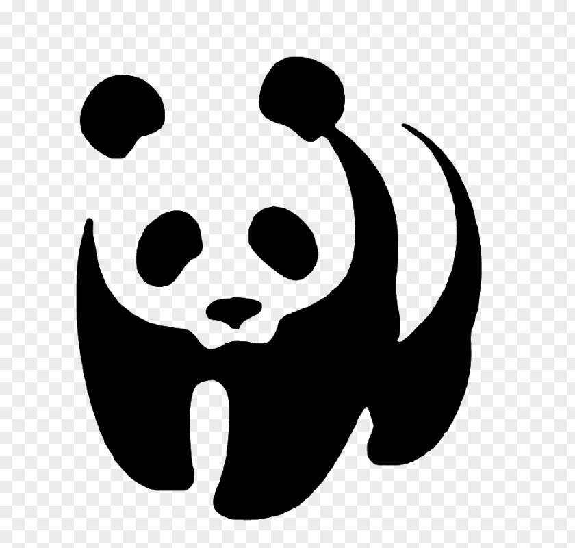 Bear Giant Panda Stencil World Wide Fund For Nature Logo PNG