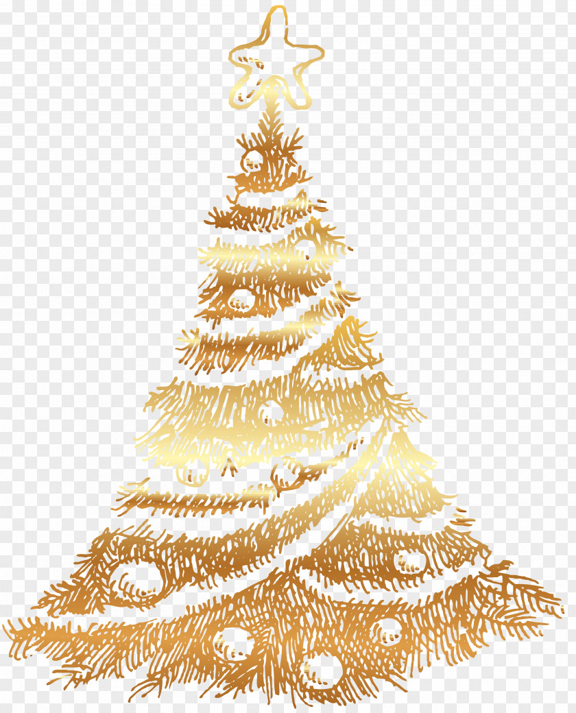 Christmas Tree Spruce Ornament PNG