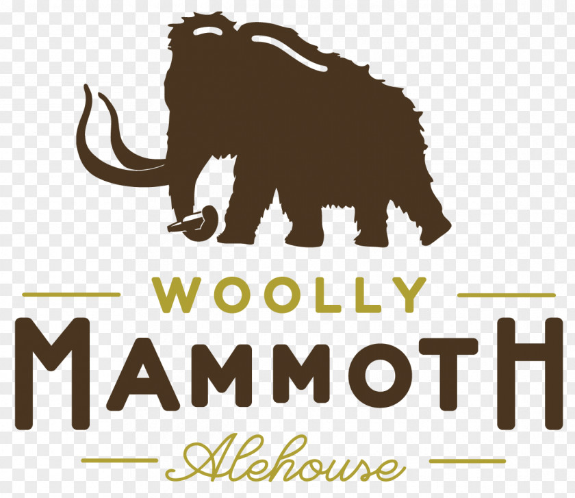 Classic Manowar Set Live In Brisbane Elephant BeerElephant Woolly Mammoth Alehouse ROSS THE BOSS (USA) PNG