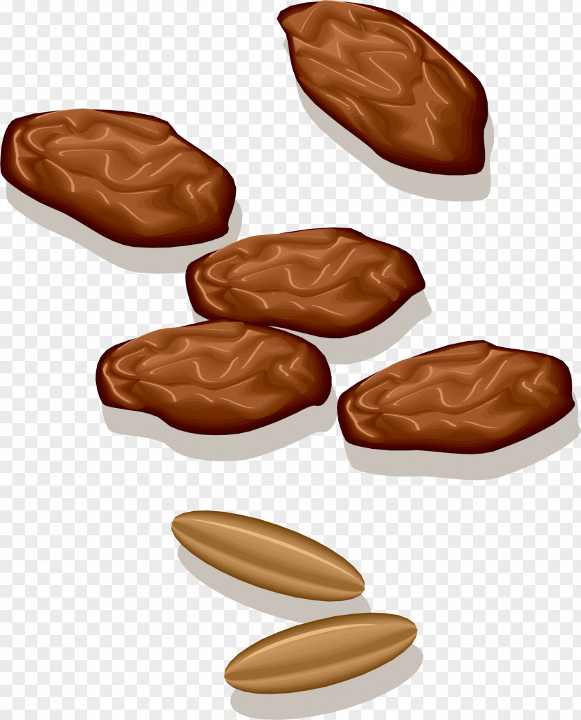 Dates Date Palm Clip Art PNG