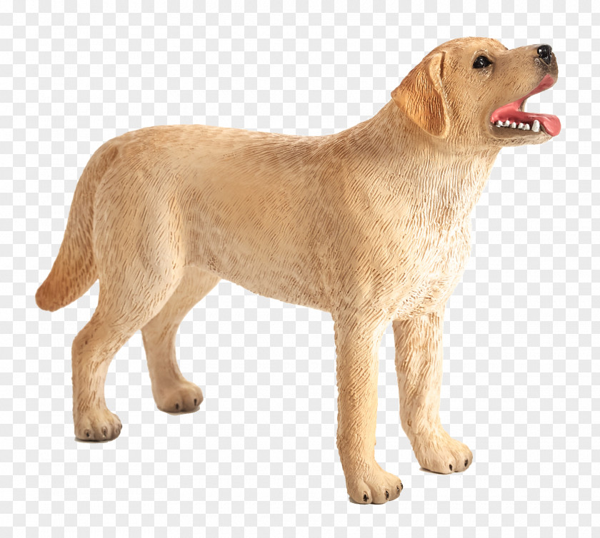 Golden Retriever Labrador Dog Breed Companion Jack Russell Terrier PNG
