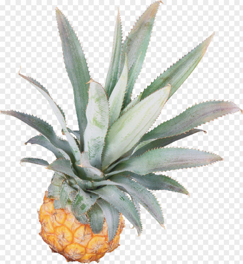 Pineapple Fruit Banana PNG