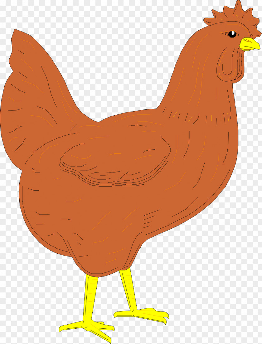 Chicken Face Rooster Clip Art PNG