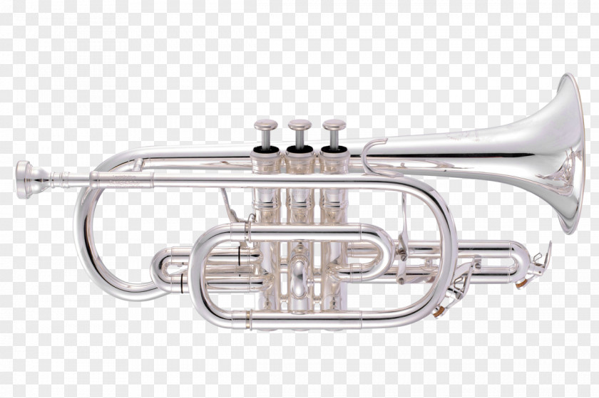 Musical Instruments And Their Names Cornet Trumpet Flugelhorn John Packer Ltd PNG