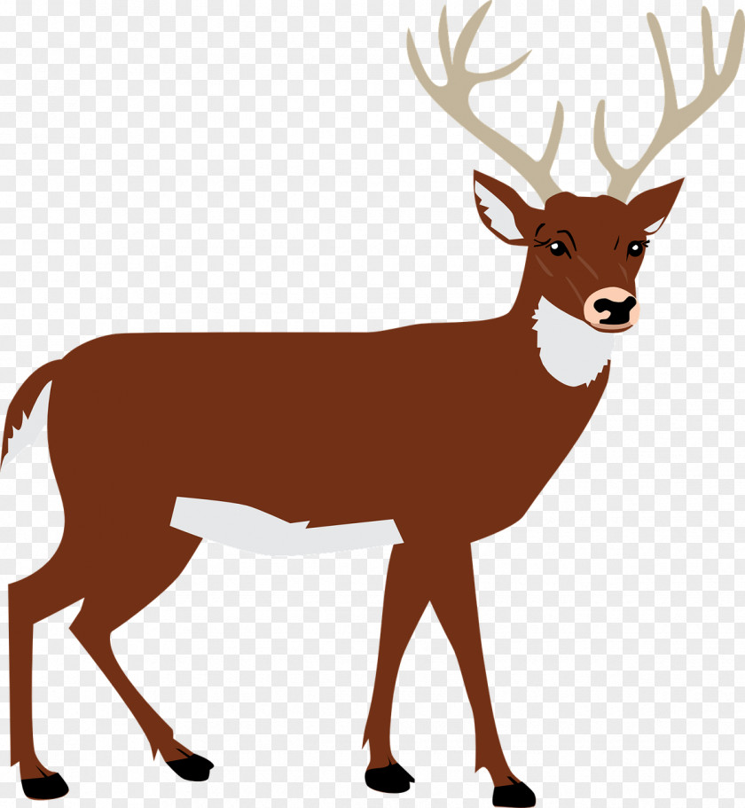 Brown Deer Antler Clip Art PNG