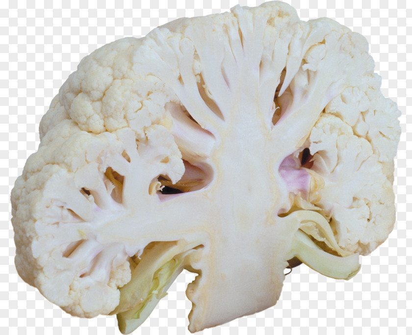 Cauliflower Broccoli Vegetarian Cuisine Vegetable Cabbage PNG