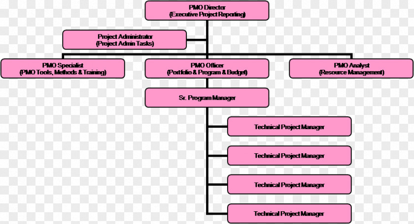 Organization Structure Project Management Office Organizational Chart PNG