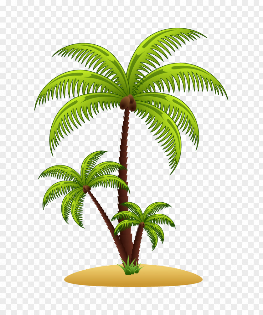 Palm Trees Vector Arecaceae Euclidean Tree Illustration PNG