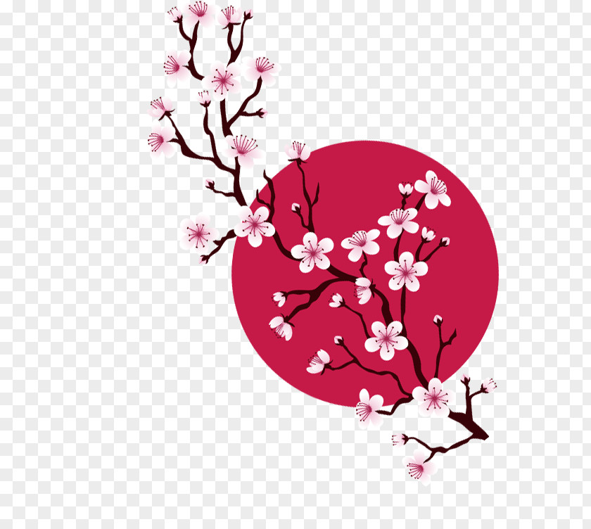 Romantic Sakura Cherry Blossom PNG