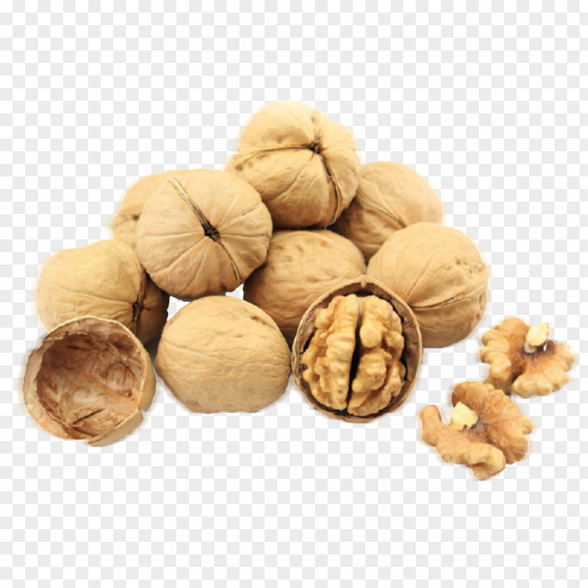 Walnut Photos Pecan Food Dried Fruit PNG