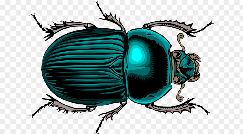 Dung Beetle Peace Lysistrata The Birds PNG
