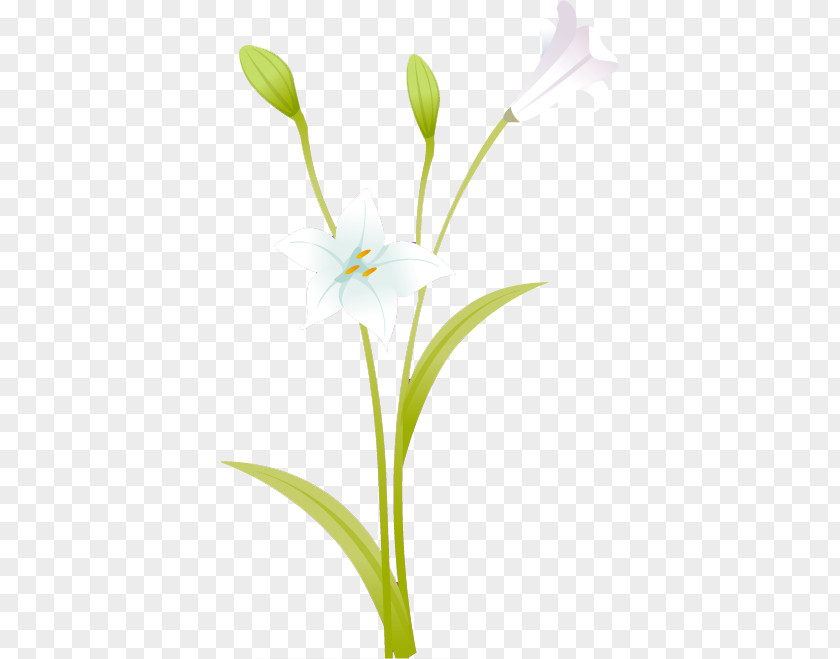 Flower Cut Flowers Plant Stem Petal Clip Art PNG
