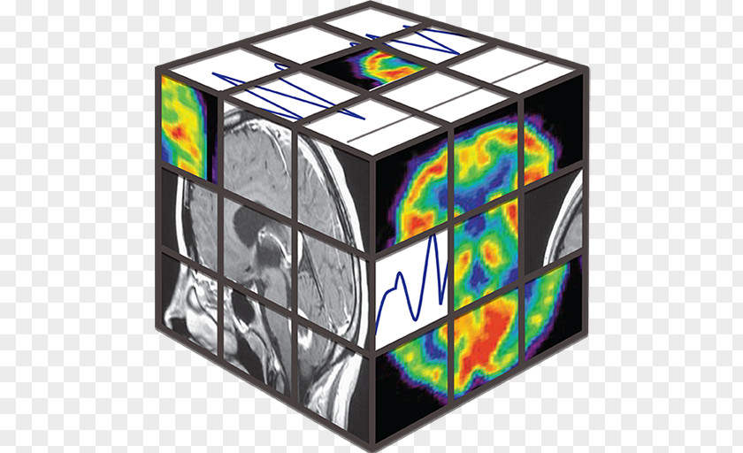 Max Planck Institute For Informatics Cognitive Neuroscience Society Motor Coordination Cognition PNG