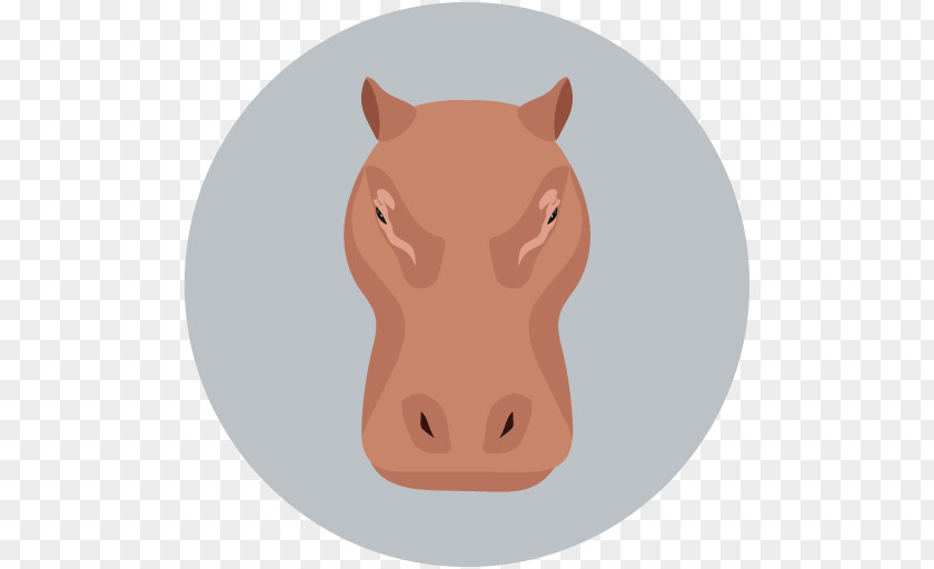 Rhinoceros Snout PNG