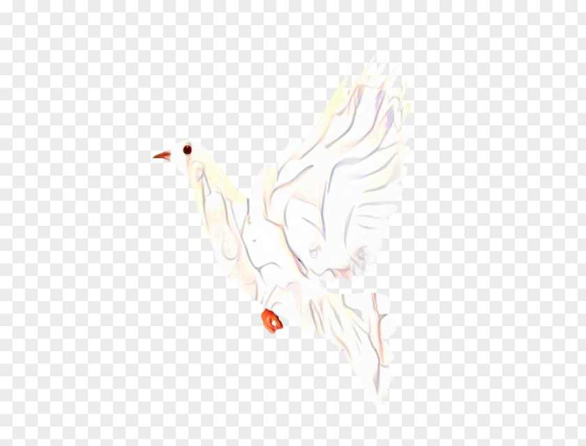 Wing White Cartoon Bird PNG