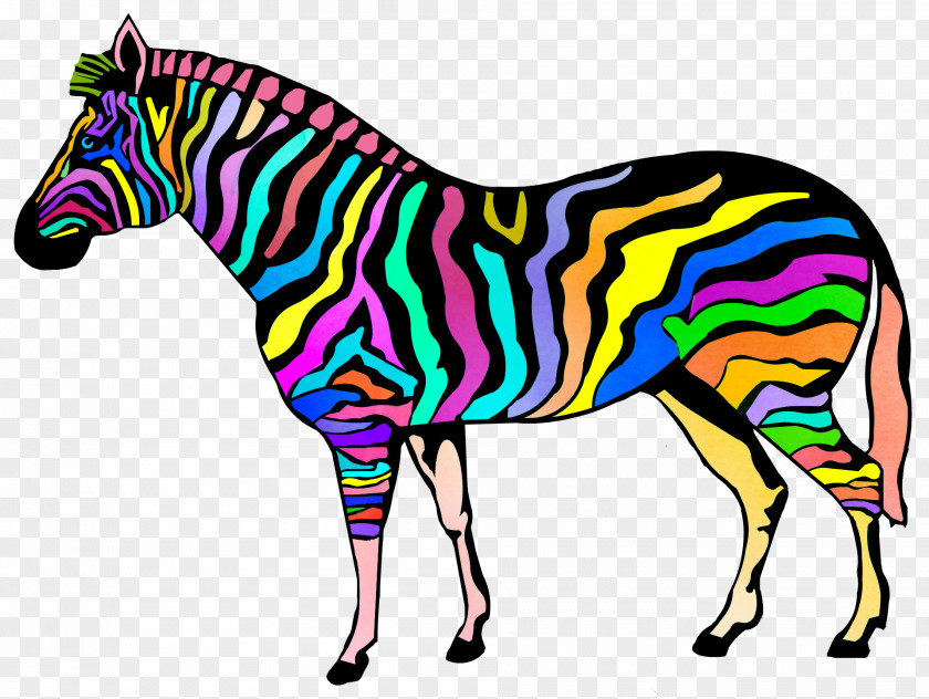 Zebra Coloring Book Child Stripe PNG