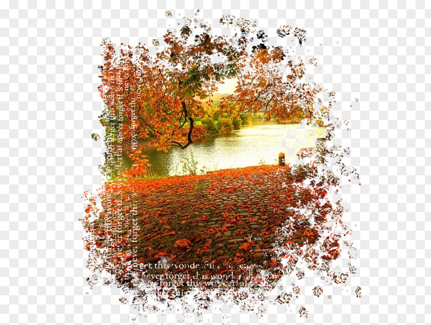 Autumn Photography PNG