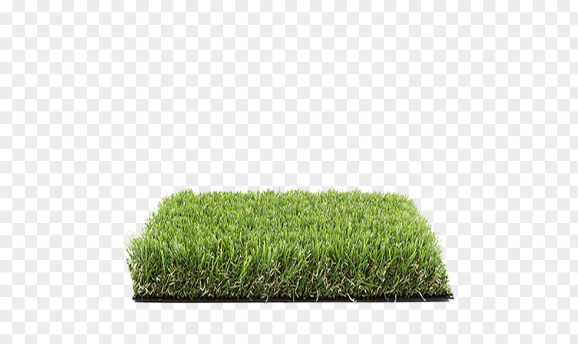 Grass Artificial Turf Lawn Garden Moquette PNG