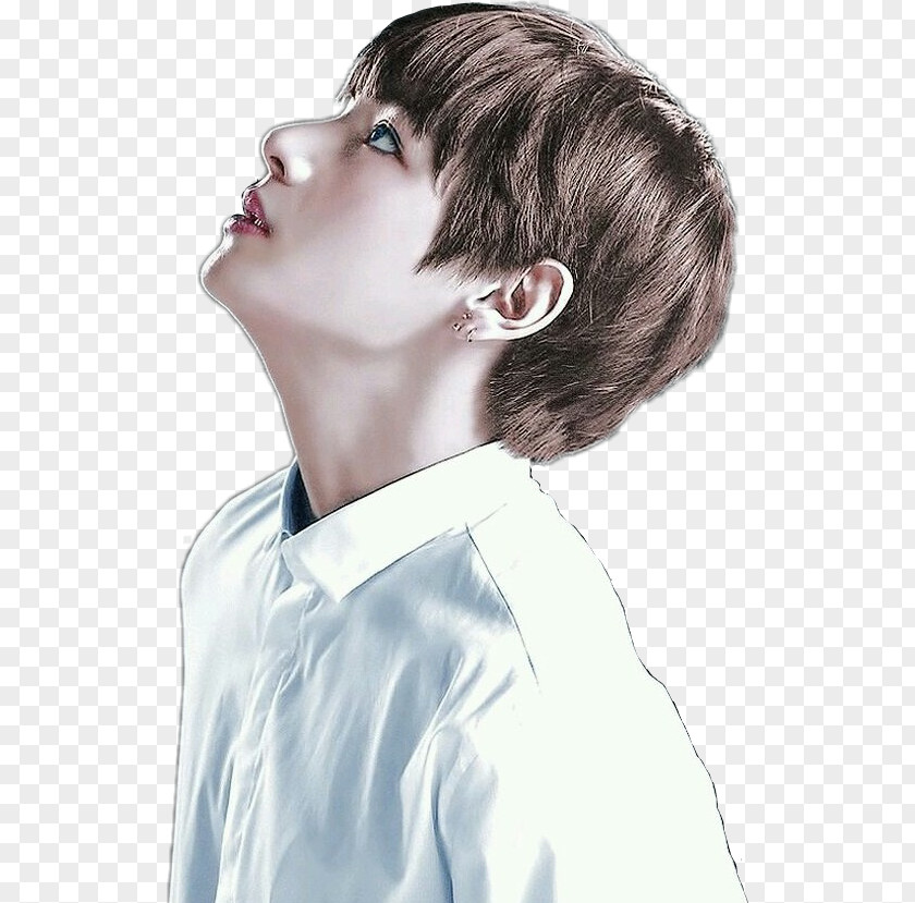 Wings Kim Taehyung BTS Blood Sweat & Tears K-pop PNG