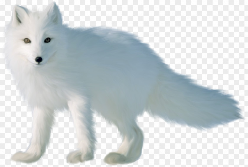 Arctic Fox Red Canadian Eskimo Dog Nick Wilde PNG