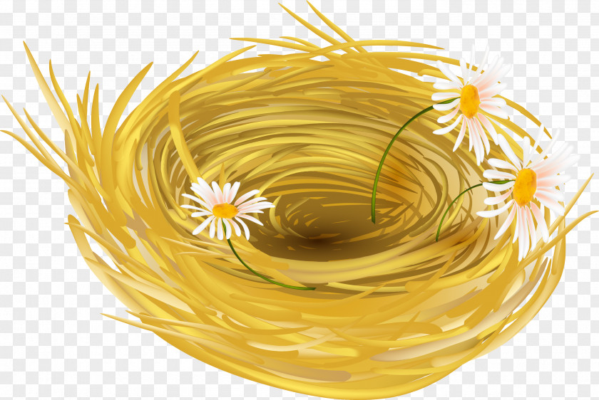 Chicken Fried Easter Bunny Flower Egg PNG