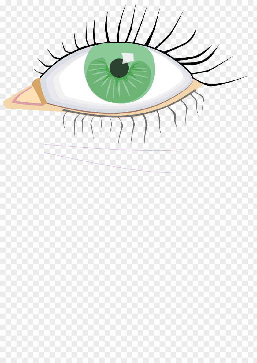 Eye Clip Art Openclipart PNG