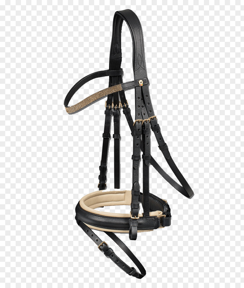 Horse Bit Bridle Equestrian Hunt Seat PNG