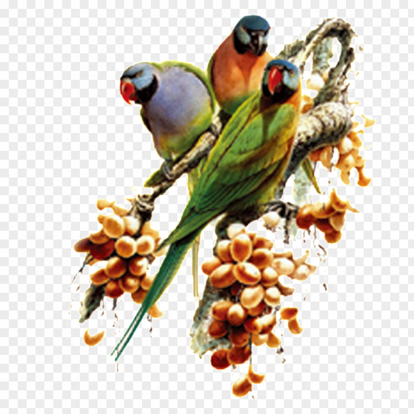 Las Aves GIF Morning Evening Image Gfycat PNG