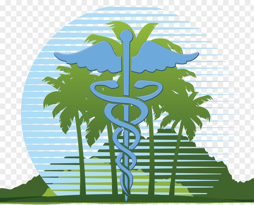 Medical Recruitment Cliparts Health Care Medicine Clinic Hibiscus Tea Hospital PNG