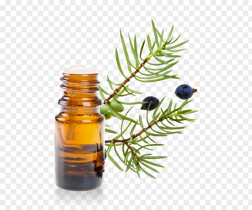 Oil English Lavender Juniperus Oxycedrus Essential PNG