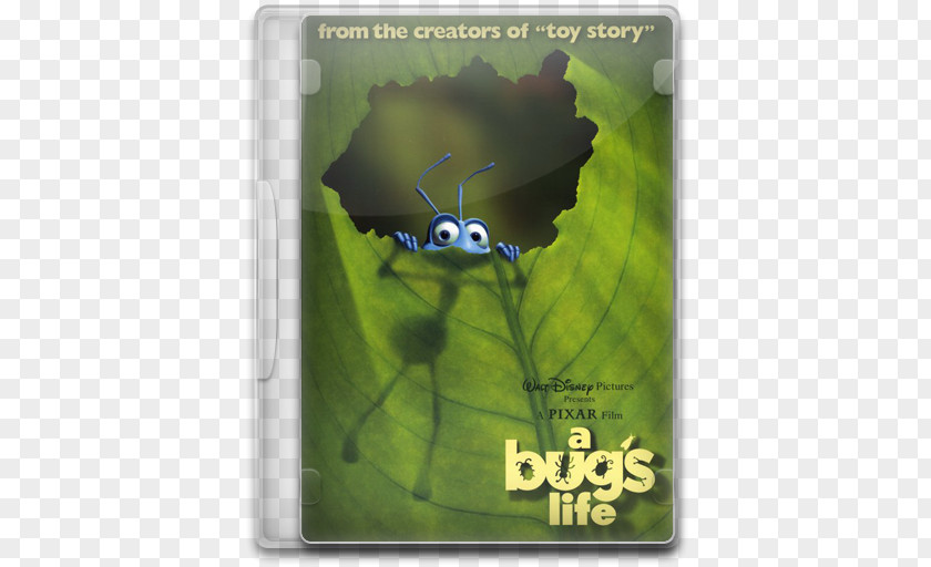 A Bugs Life Butterfly Pollinator Insect Moths And Butterflies Fauna PNG