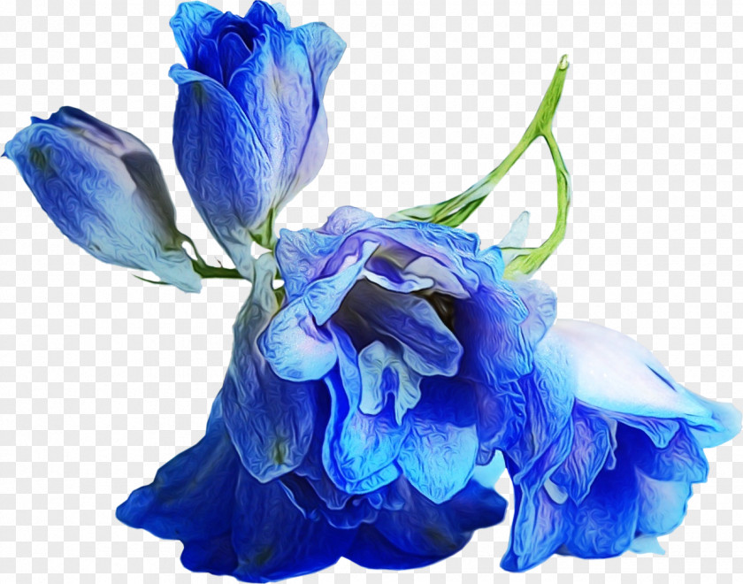 Aqua Turquoise Blue Petal Flower Cut Flowers Purple PNG
