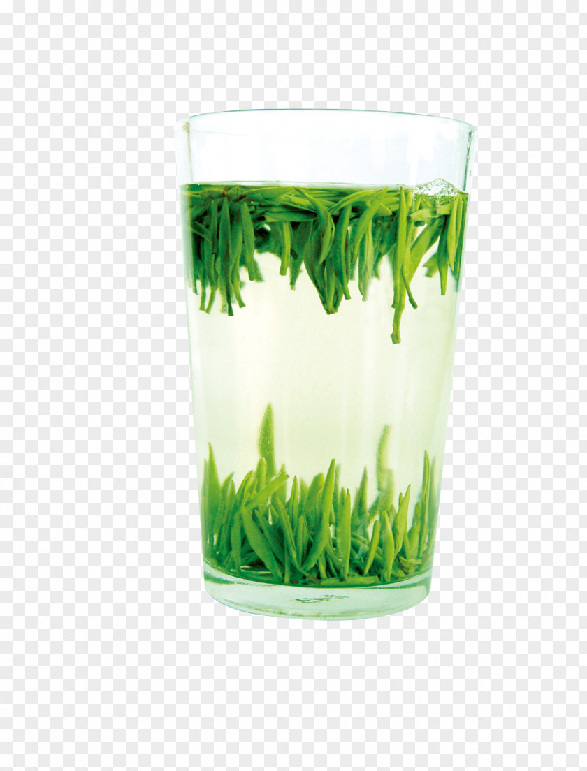 Green Tea White PNG