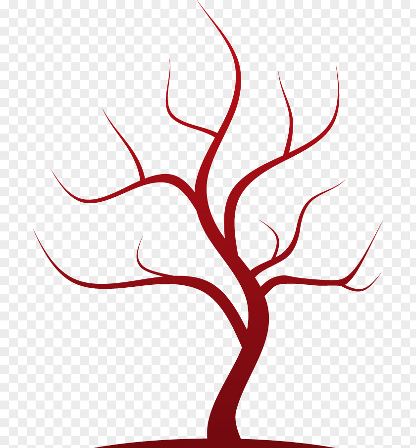 Illustration Tree Twig Trunk PNG