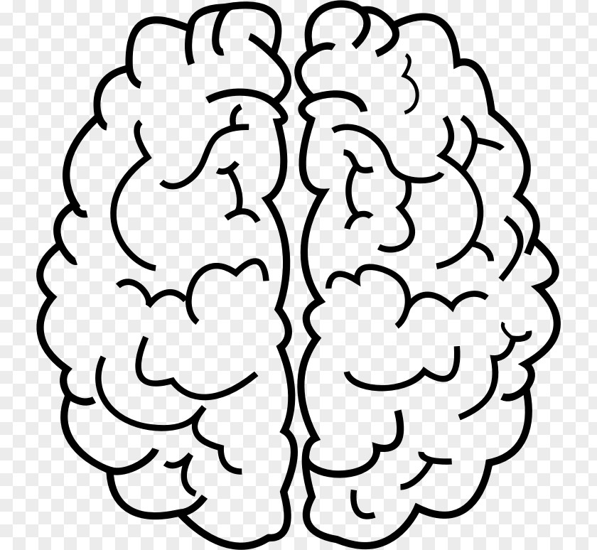 People Thinking Line Art Human Brain Drawing Clip PNG